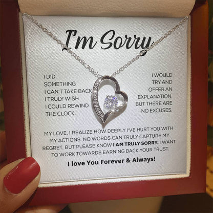 Entschuldigungsgeschenk für sie - Es tut mir wirklich leid - Forever Love Halskette
