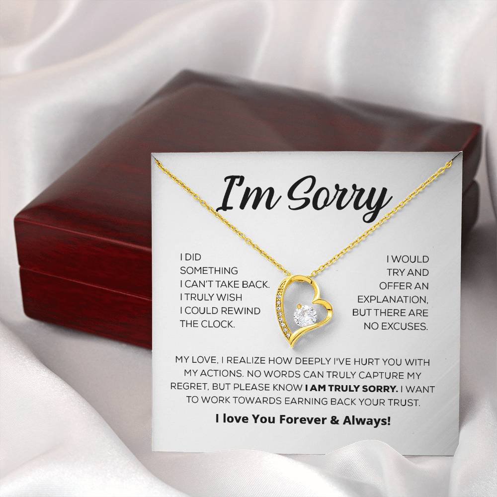 Entschuldigungsgeschenk für sie - Es tut mir wirklich leid - Forever Love Halskette