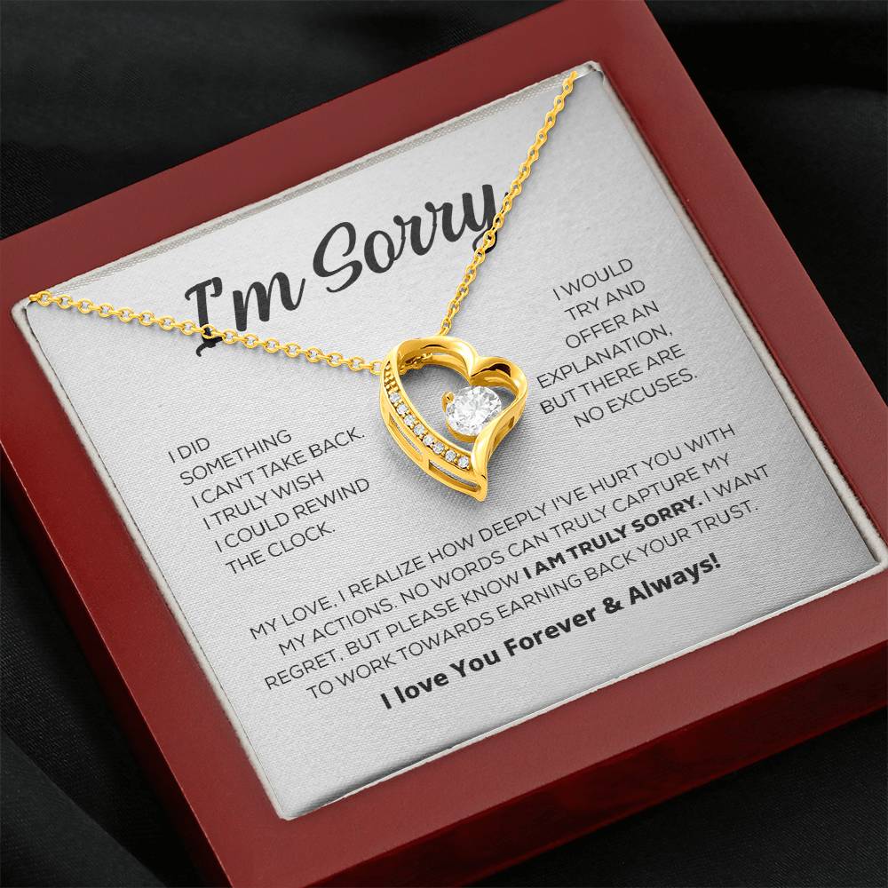 Entschuldigungsgeschenk für sie - Es tut mir wirklich leid - Forever Love Halskette