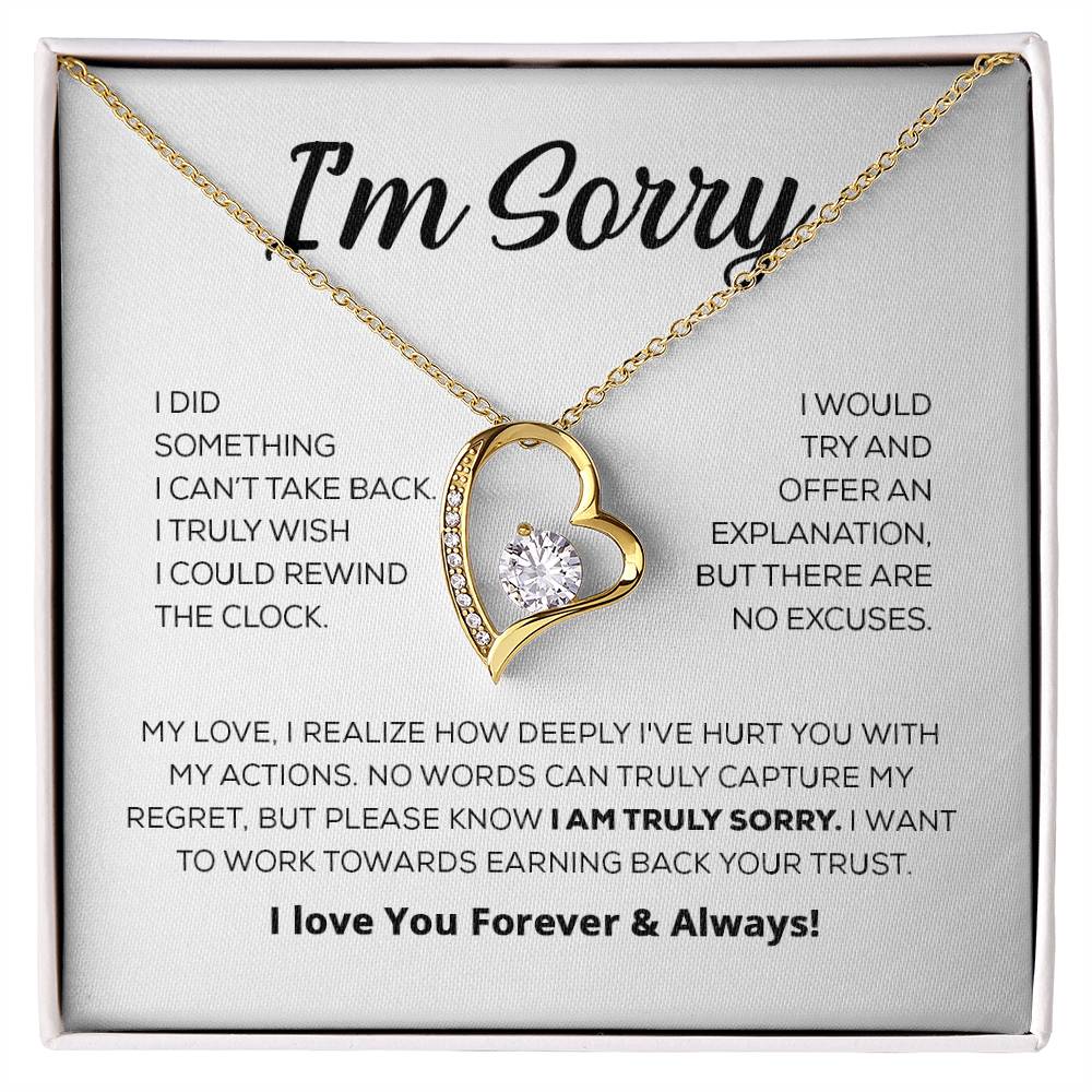 Entschuldigungsgeschenk für sie - Es tut mir wirklich leid - Forever Love Halskette