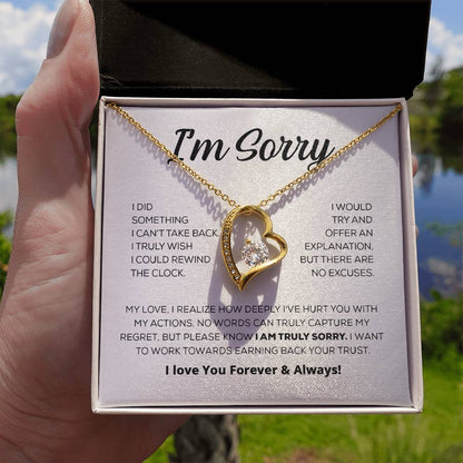 Entschuldigungsgeschenk für sie - Es tut mir wirklich leid - Forever Love Halskette