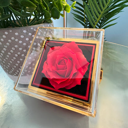 Fangen wir neu an – Liebesknoten mit drehbarem Rosen-Geschenkbox